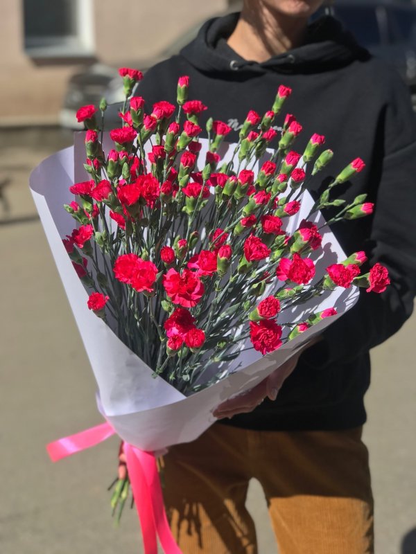 Кустовая гвоздика Hot Pink