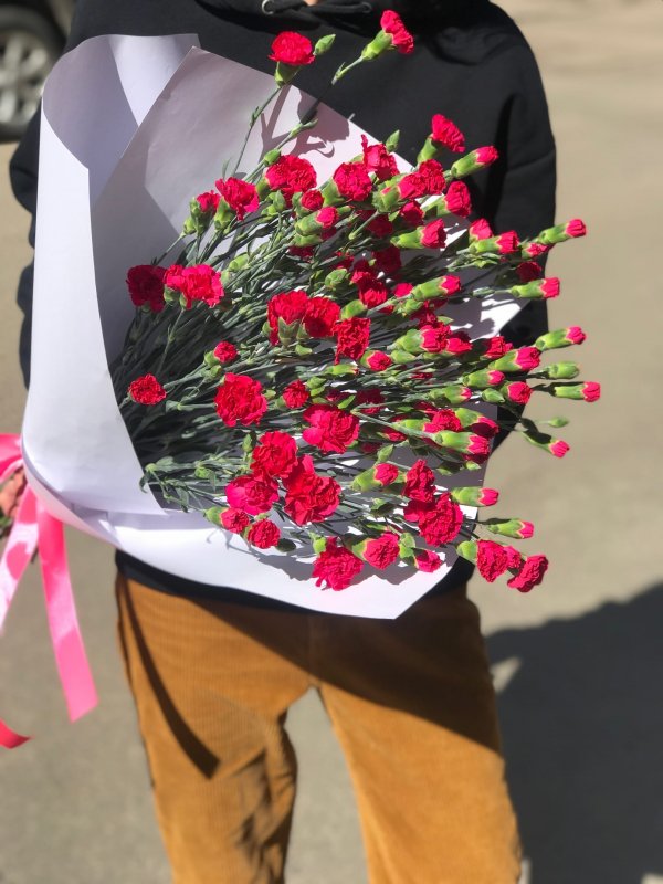 Кустовая гвоздика Hot Pink