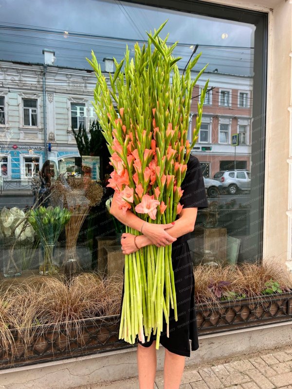 Гладиолусы персиковые, белые