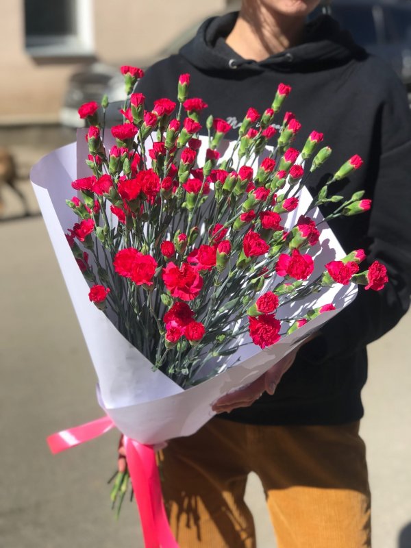 Кустовая гвоздика Hot Pink