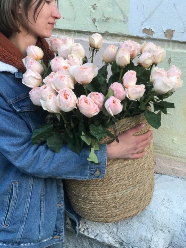 Пионовидная роза