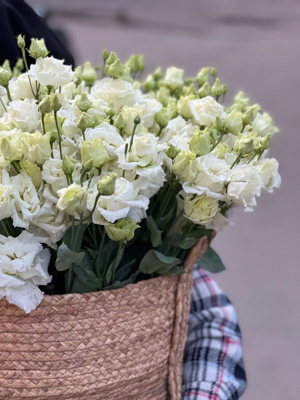 Лизиантус в дизайн-корзине