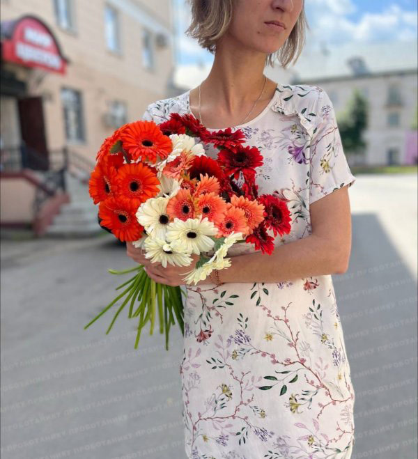 Герберы, микс