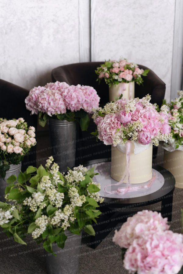 Комната цветов , premium