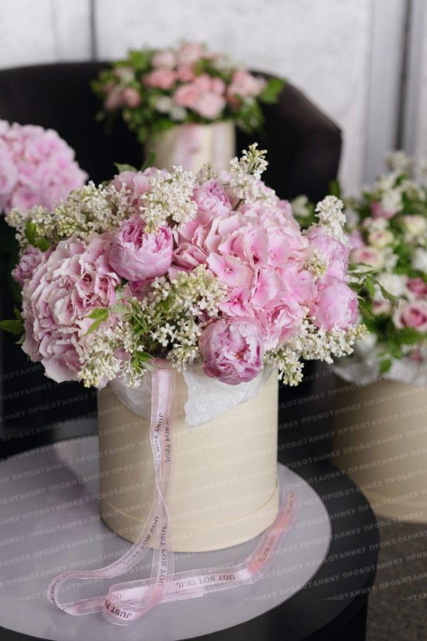 Комната цветов , premium