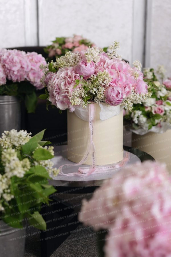 Комната цветов , premium