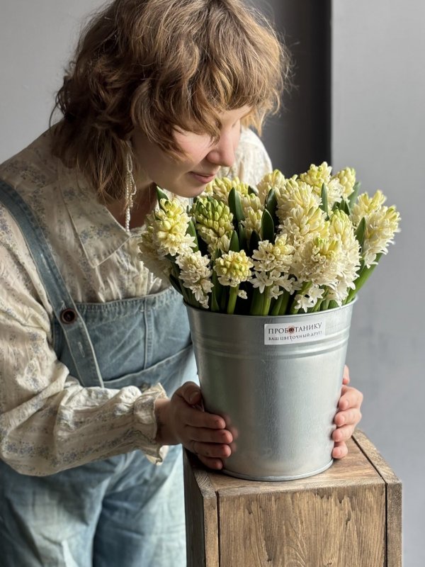 Ведерко гиацинтов