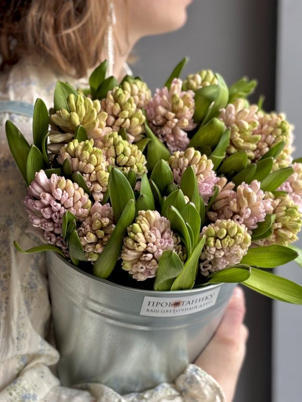 Ведерко гиацинтов