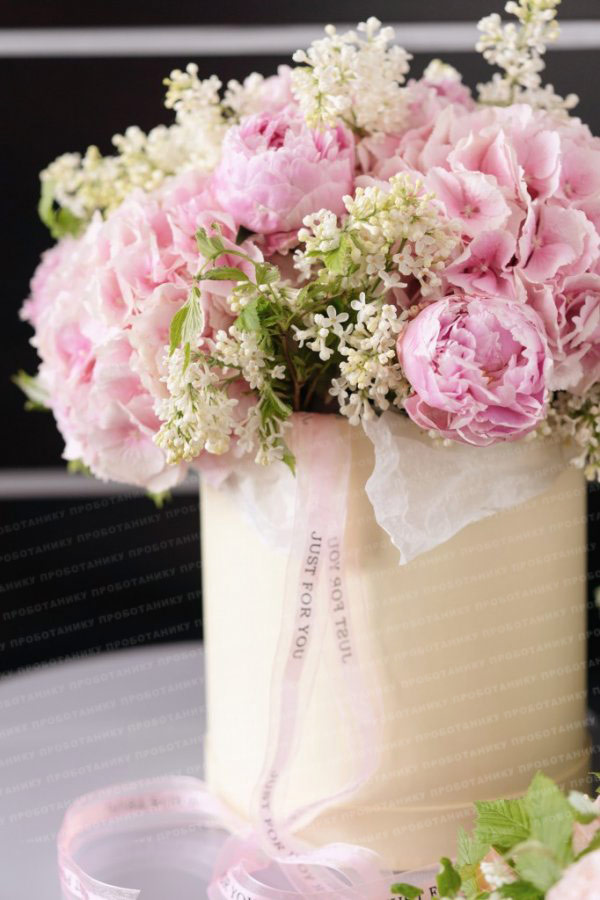 Комната цветов , premium