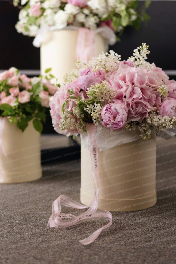 Комната цветов , premium