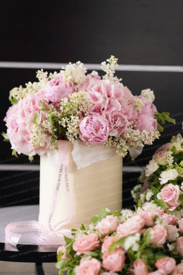 Комната цветов , premium