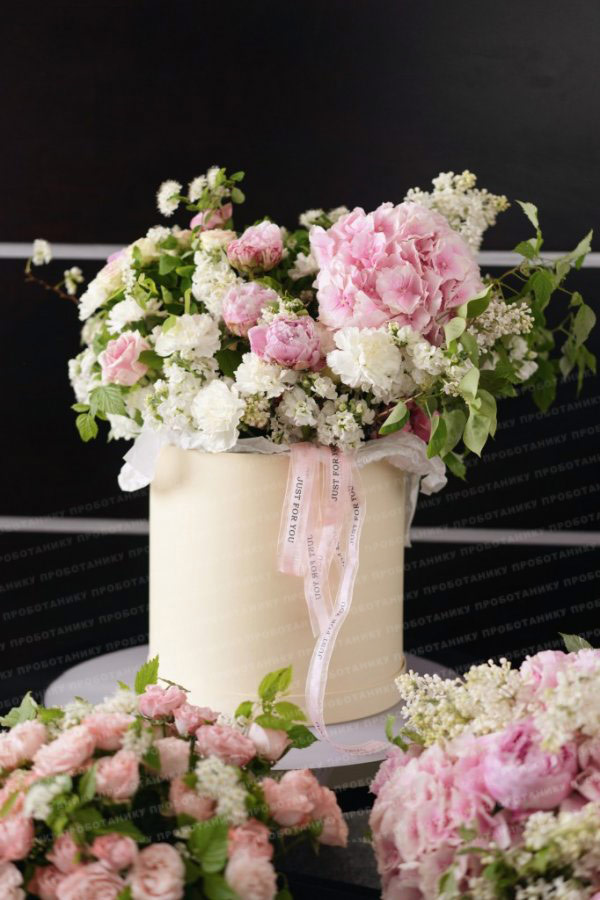 Комната цветов , premium