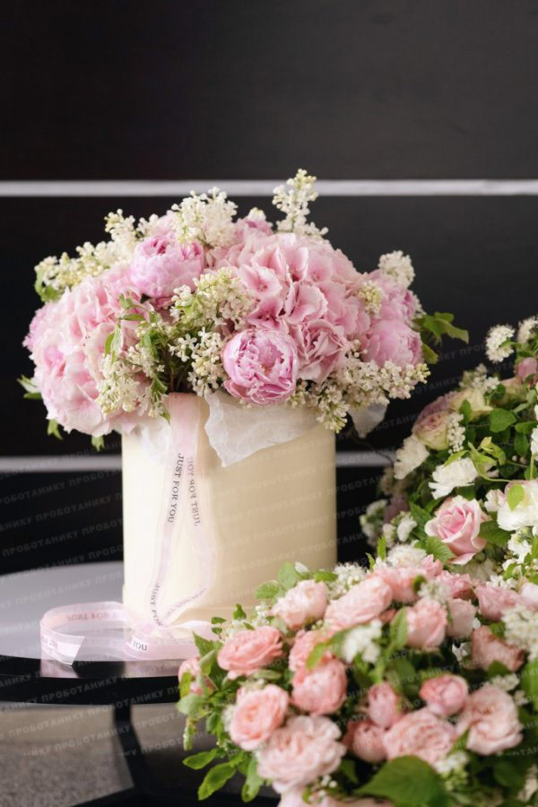 Комната цветов , premium