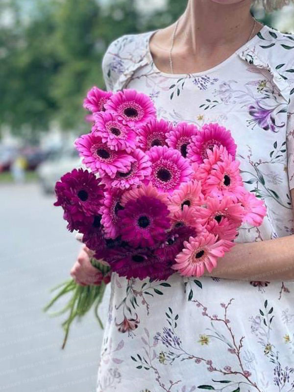 Герберы, микс