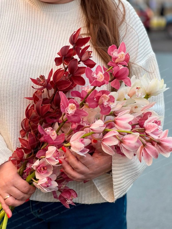 Орхидея, в ассортименте