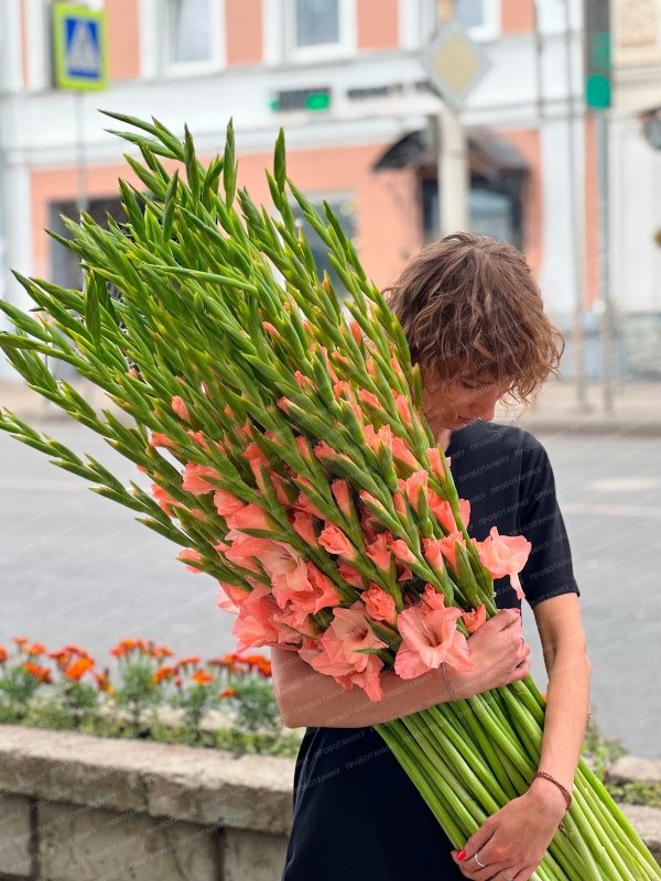 Гладиолусы персиковые, белые