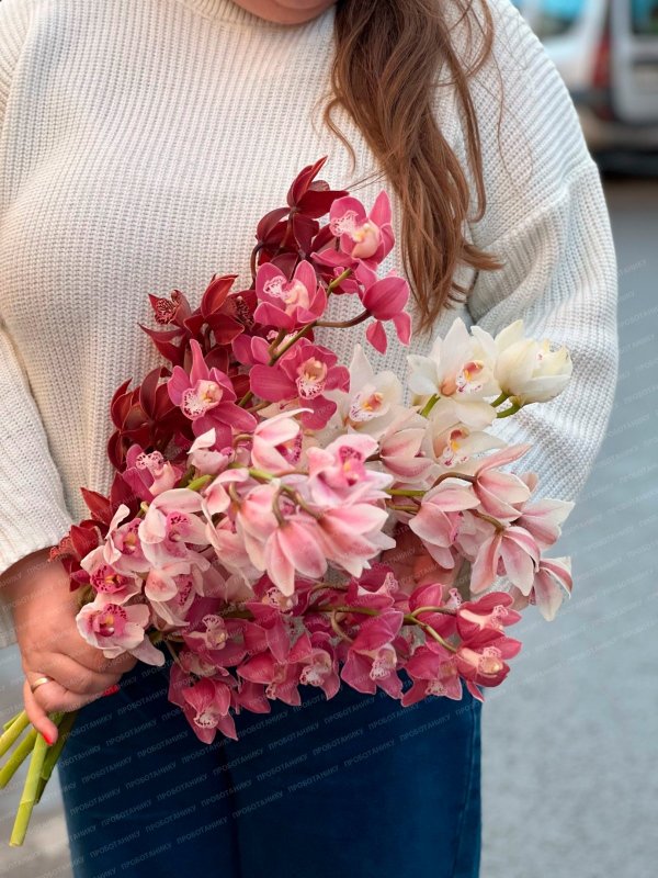 Орхидея, в ассортименте