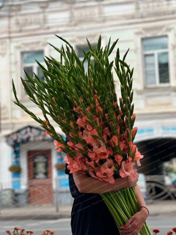 Гладиолусы персиковые, белые