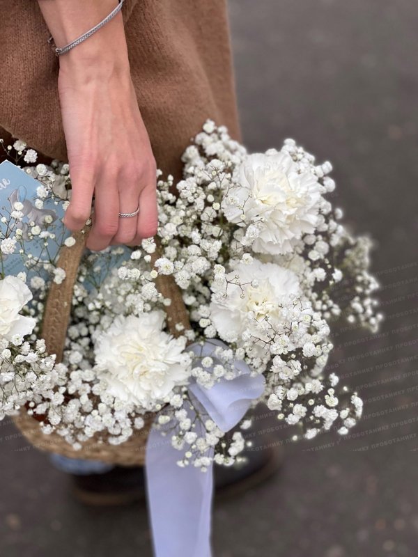 Корзина с белыми гвоздиками и гипсофилой