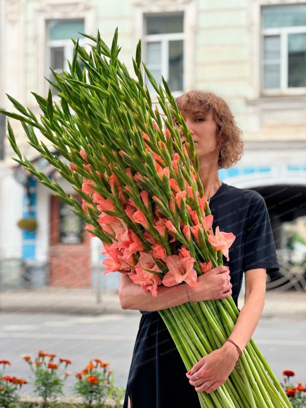 Гладиолусы персиковые, белые