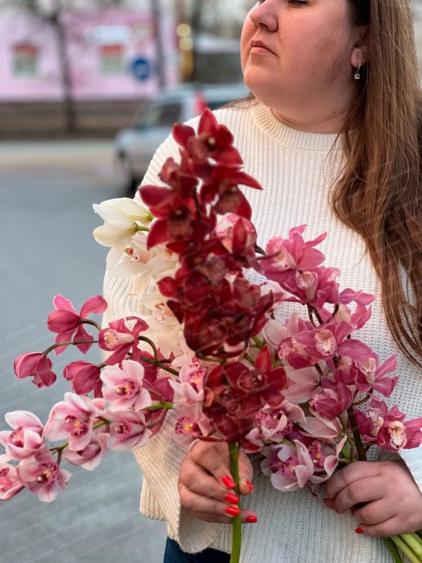 Орхидея, в ассортименте