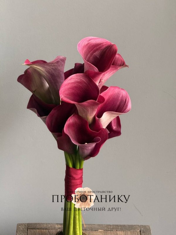 Букет невесты с винными каллами