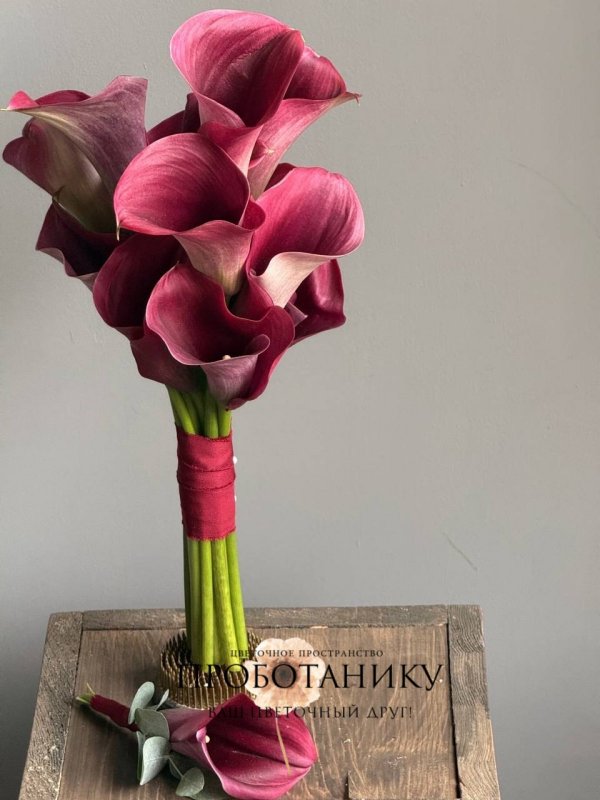 Букет невесты с винными каллами