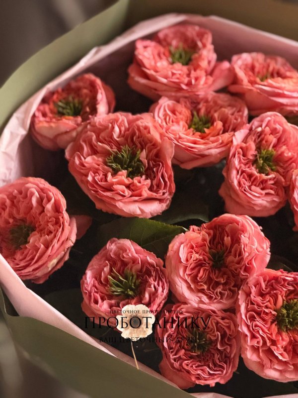 Яркий букет из пионовидных роз 