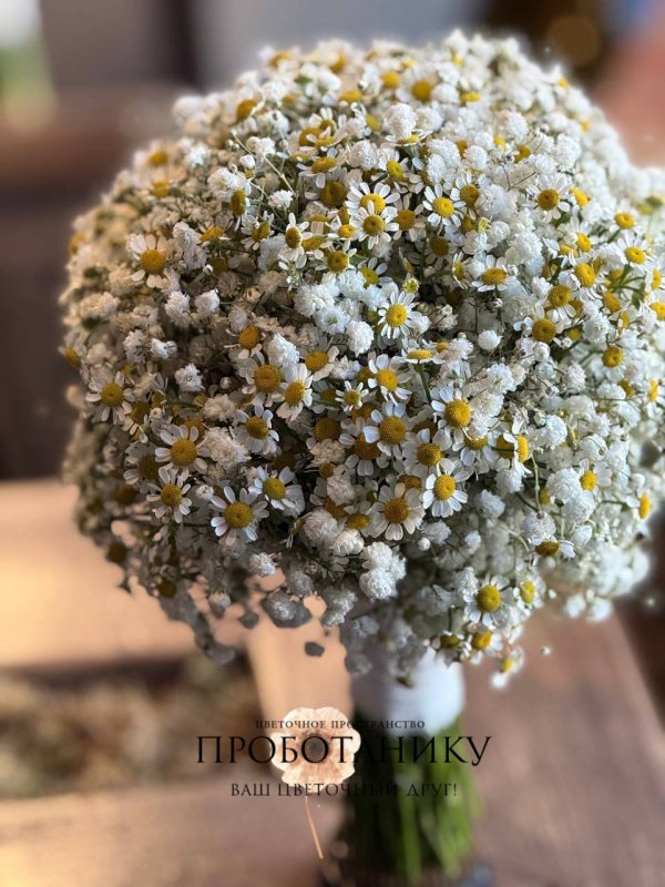 Букет невесты с ромашками и гипсофилой