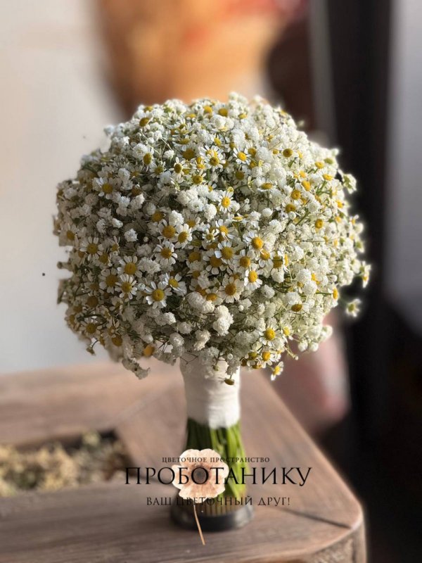 Букет невесты с ромашками и гипсофилой