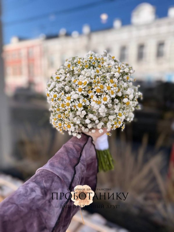 Букет невесты с ромашками и гипсофилой