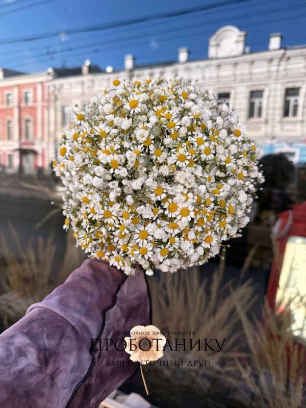 Букет невесты с ромашками и гипсофилой