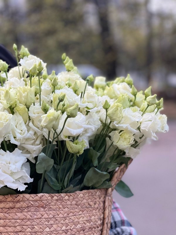 Лизиантус в дизайн-корзине