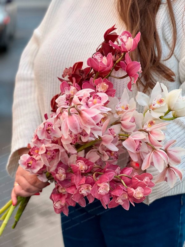 Орхидея, в ассортименте